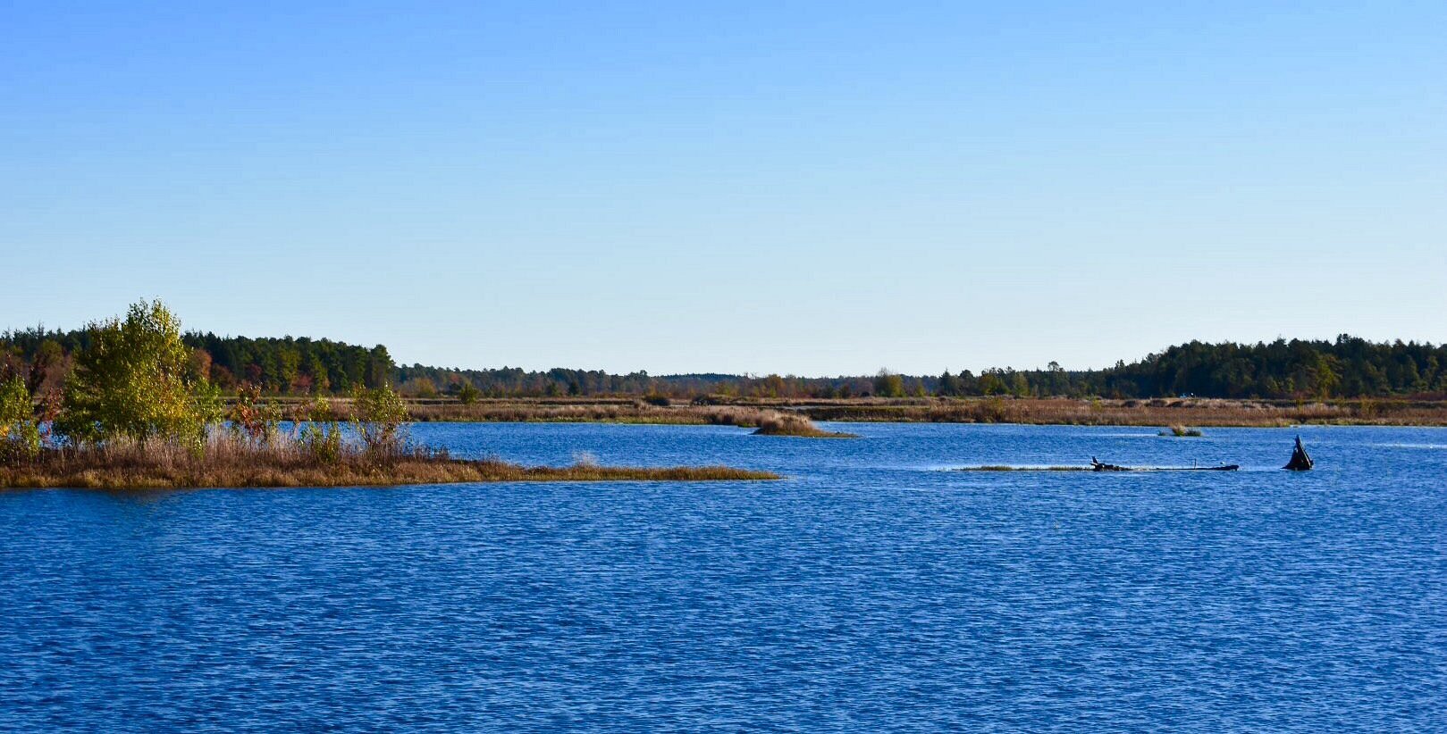 8 Best Things To Do in Browns Mills NJ