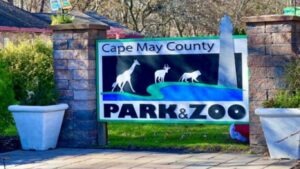 Cape May County Park & Zoo