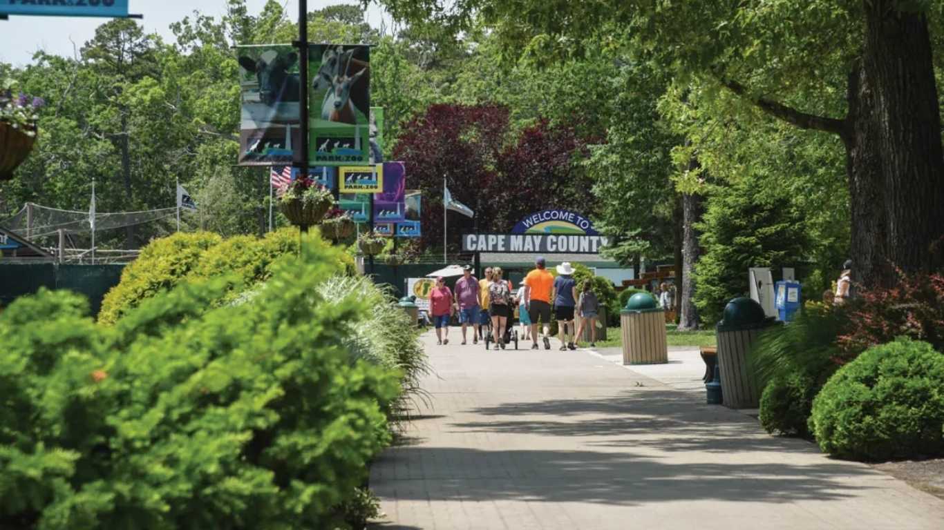 Cape May County Park & Zoo Reviews: A Family Adventure Guide with Easy Local Taxi Access